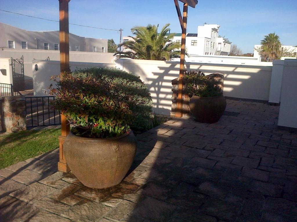 Nautilus Guest House Hermanus Eksteriør billede
